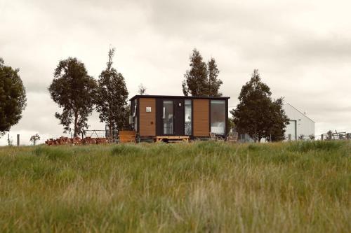 Maluridae Creek Views by Tiny Away
