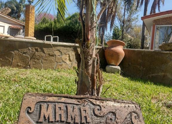 Mama LIDIA