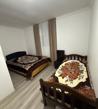 Mamukas Guest house in Racha