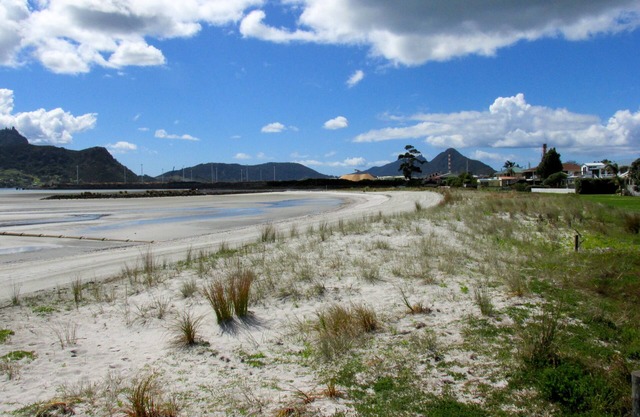 Manaia Ver Bach - One Tree Point Bach