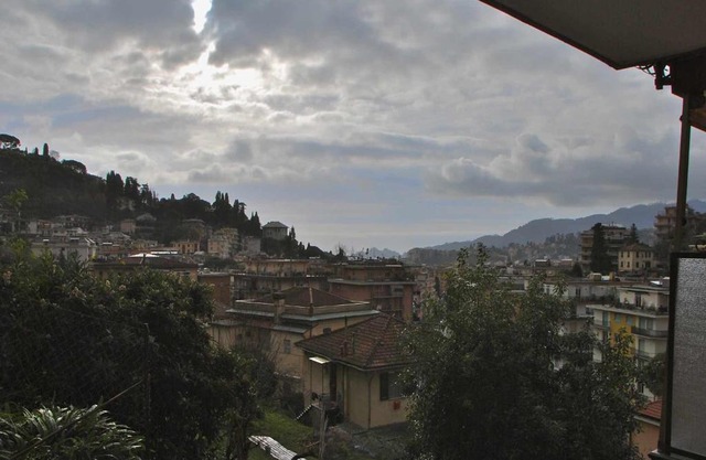Mandorlo