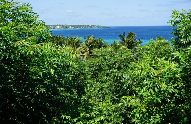 Mangga Lodge