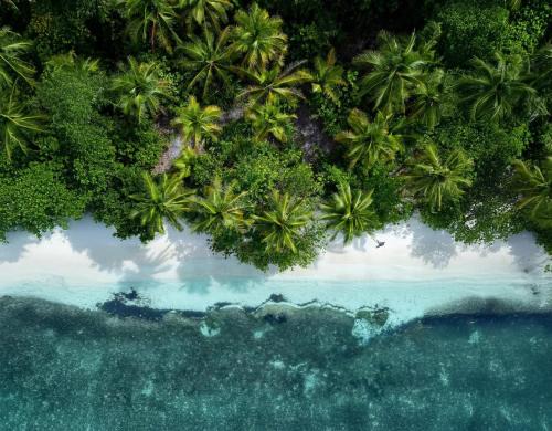Manta Homestay - Raja Ampat