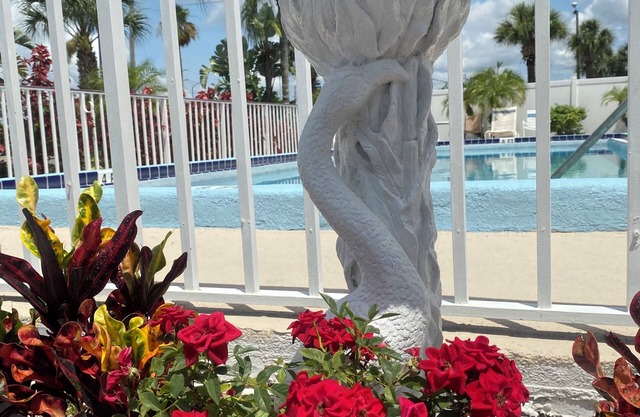 Maple Leaf Inn & Suites
