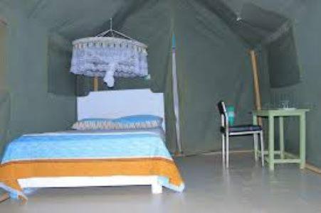 Mara green camp