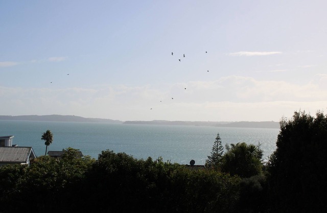 Maraetai Yacht Club