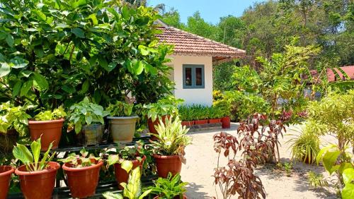 MARARI YOGA HOMESTAY