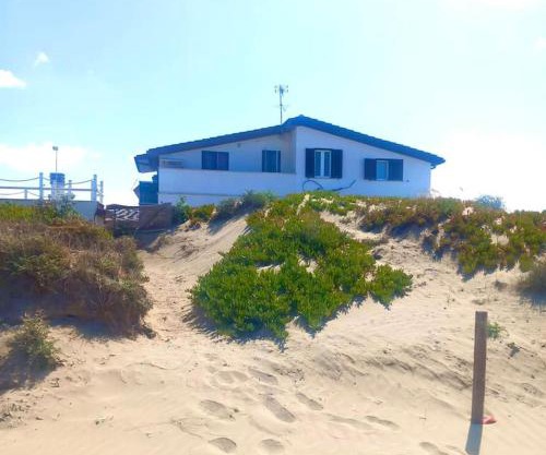 Marco's House