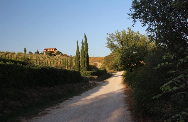 MAREMMA QUE VEA! OASIS DE PAZ Y RELAJACIÓN EN EL CAMPO