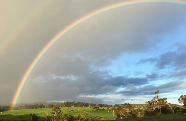 Margaret River Farmhouse - enjoy bushland escape