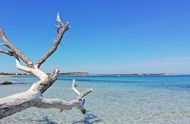 Marina Di San Vero Milis: Casa / villa / chalet - Marina di San Vero Milis