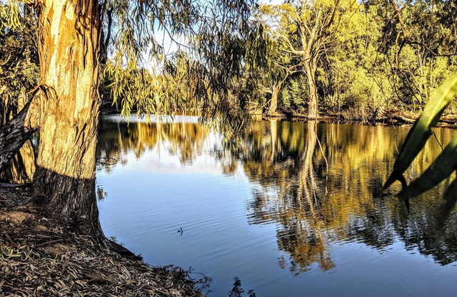 Marina Retreat at Waterfront Moama with access to the Murray River