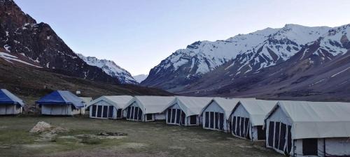 Marmote Camps - Sarchu