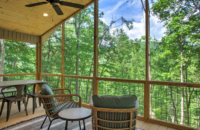 Mars Hill Hideaway | Fire Pit, Views, Screened Porch + Biltmore Pass