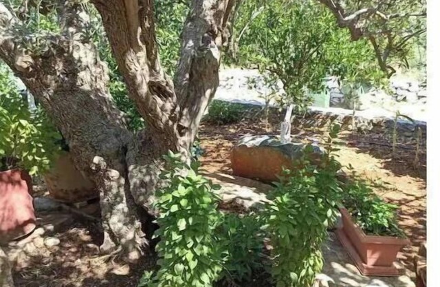Martha's Home in Fourni Village Crete