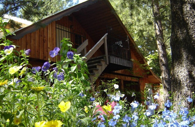 Alquiler de cabañas en Martins