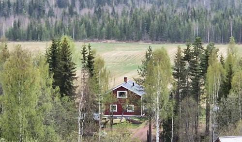 Martjes hus