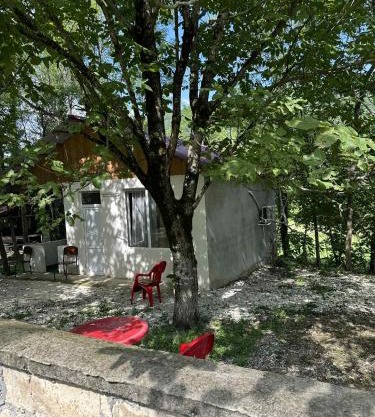 Martvili Canyon Cottage in the Forest