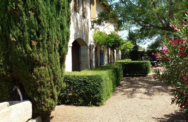 Mas, auténtico vino de la casa, piscina.