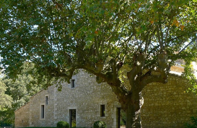 Mas Château Blanc
