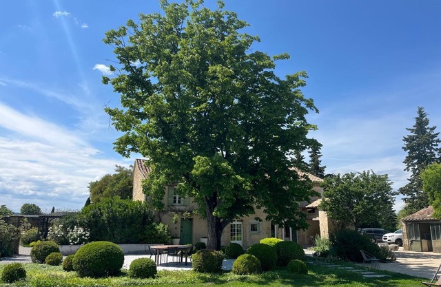 Mas des Vignes, luxury villa surrounded by vineyards, sleeps 15