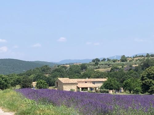 Mas du 18e siècle au calme entouré de champs de lavandes