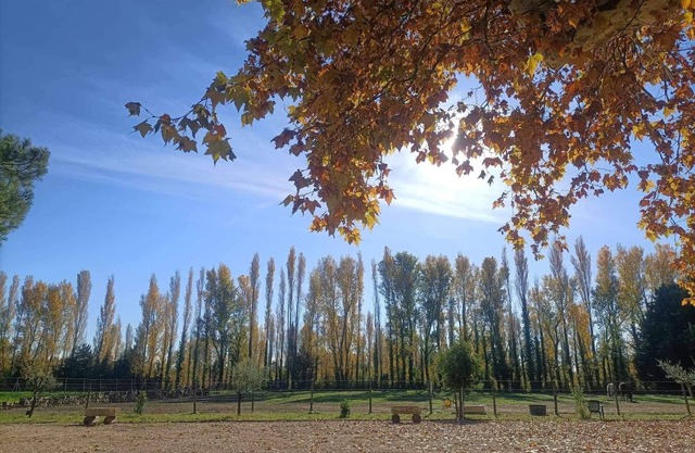 Mas en Pierre du Xvième Rénové au Cœur de la Provence, Nature et Calme Garantis