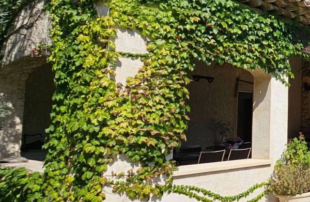 Mas for rent in Saint Cannat in a green setting