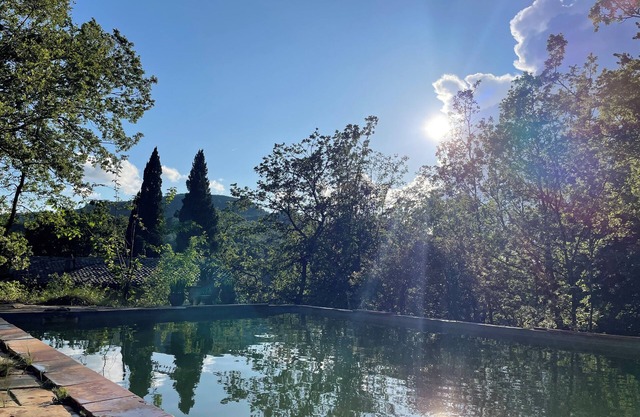 Mas Provençal et Forêt Privée en Provence Verte