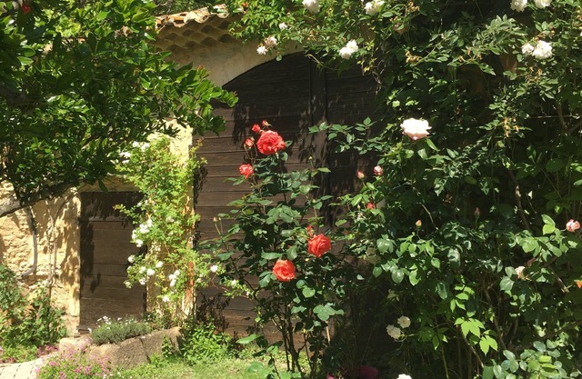 Mas provençal