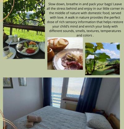 Masnec Tourist Farm