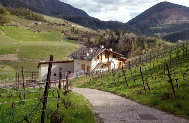 Apartamentos Maso Besleri en el viñedo con salón de cocina y terraza para eventos.