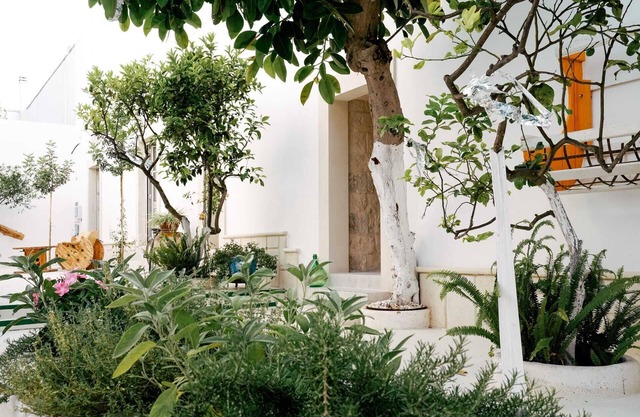 Masseria Balsamo in the heart of Salento