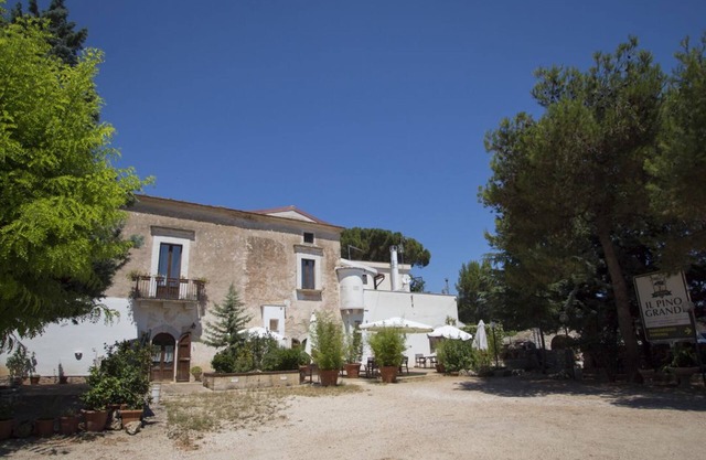 Masseria Citulo - Il Pino Grande