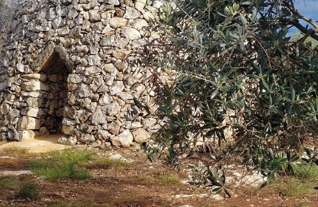 Masseria la Maestà Ospitalità rurale