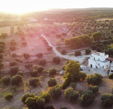 Masseria Le Mesolecchie di Rodio Renato