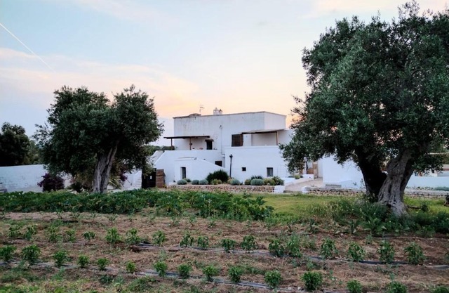 Masseria Piccole Taverne