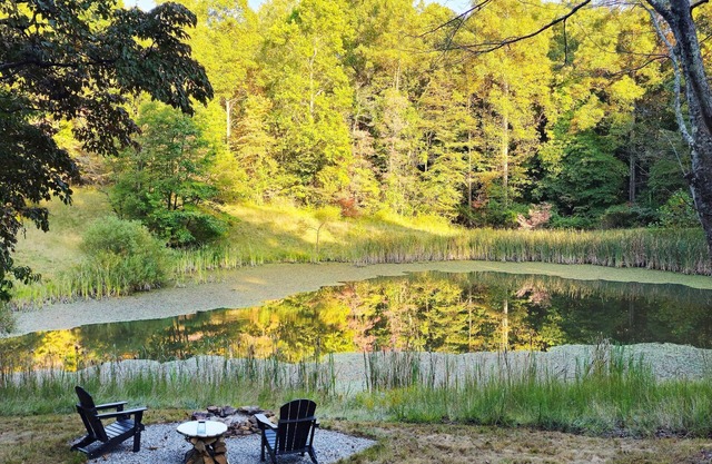 Peaceful Tiny Bungalow | Water View | Sauna | Hot Tub | Hiking Trails