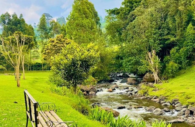 Mathioya River Lodge