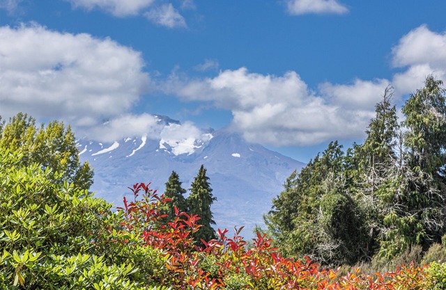 Maungatapu Studio 1 - Ohakune Holiday Home