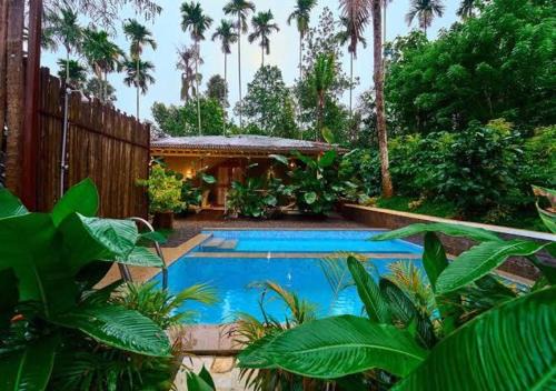 Mcafe Private Pool Plantations by Greenescapes
