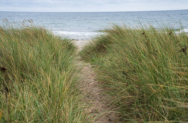 Meer-als Dänemark