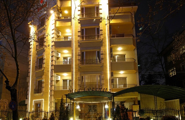 Meg Lozenetz Hotel