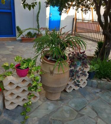 Meli Mika houses
