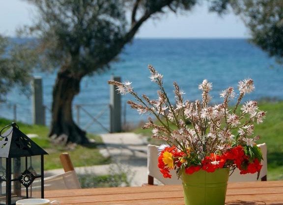 Melinda Holiday House