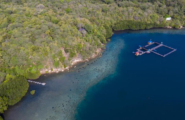 Menjangan Ecolodge - CHSE Certified