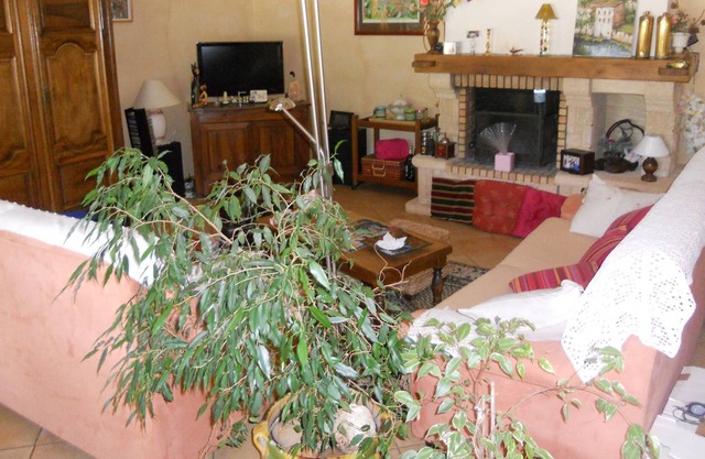 MERIDIONALE VILLA WITH SWIMMING POOL CLOSED LAND WITH TREES 3100M2
