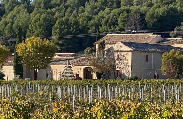 Merlot