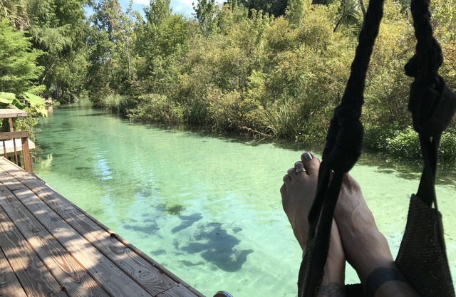 Sirenas, manatíes, kayak, nadar en las aguas primaverales del Weeki Wachee