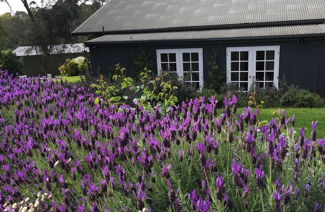 Merricks Cottage - Alojamiento Boutique